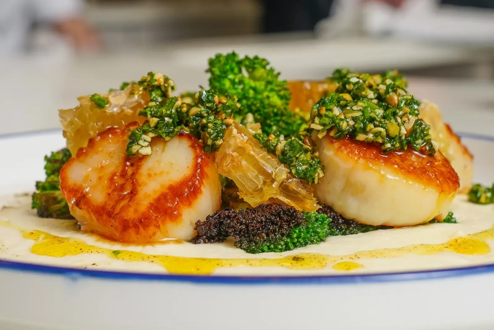 Personal Chef in South Jersey - Chef Matts Culinary Creations